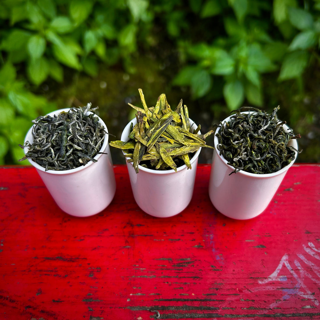 Tavaszi zöldtea-sorakozó