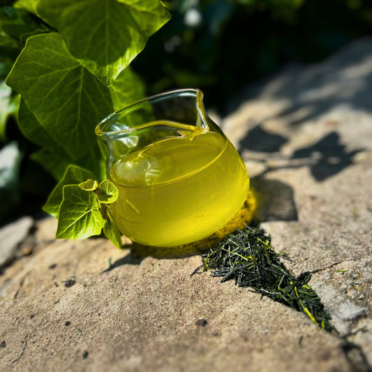 Újra itt a Shincha!