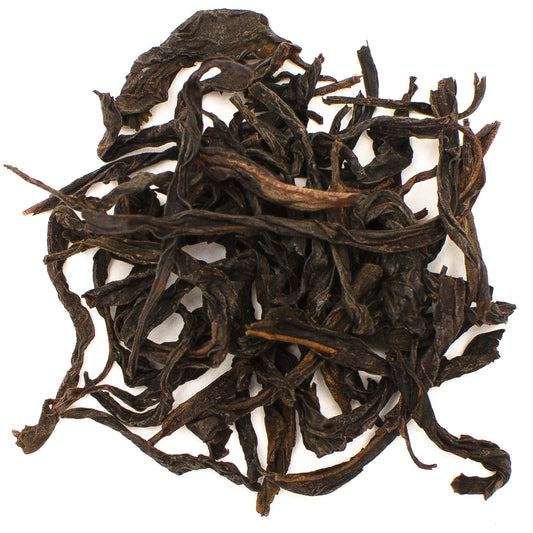 A főnix választása