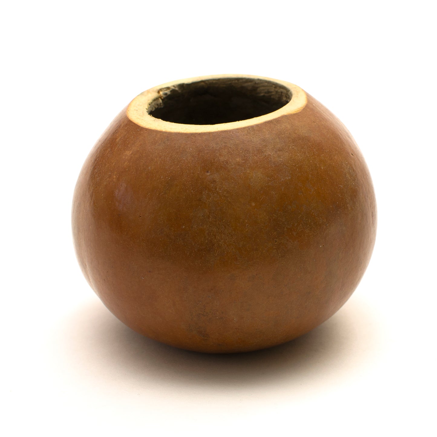 Calabaza Desnuda • Világosbarna maté tök